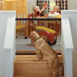 Kids & Pets Safety Door Guards