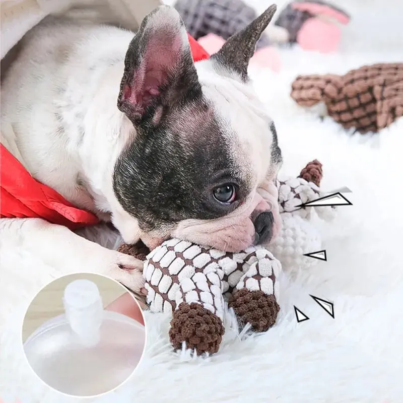 Vet-approved toy