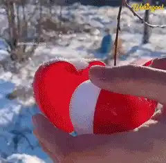 Snowball Maker in Action