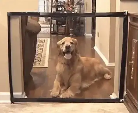 Pet safety gate in use